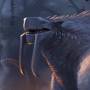 geldirus_face.jpg