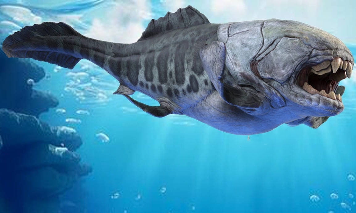  (image: https://azanur.karmavector.org/images/sea-panssarikala.jpg) 